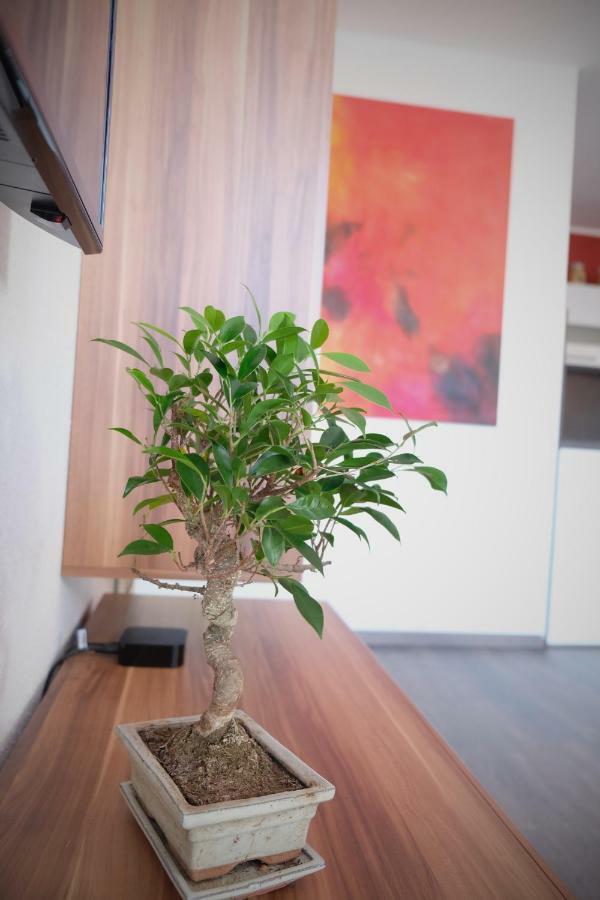 Apartment Von Betzenstein Markkleeberg Ngoại thất bức ảnh